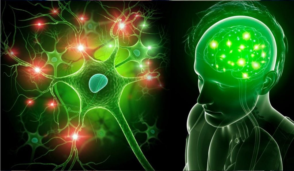 Neurotransmitter im Gehirn