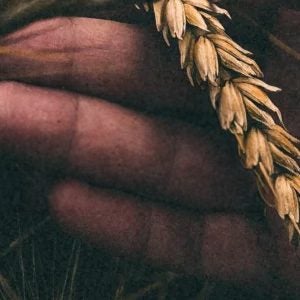 Die Gnade Gottes verstehen. Kraft der Gnade