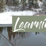 Learning to trust God