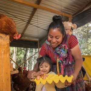 Ofelia mit ihren Kindern beim Eier sammeln.