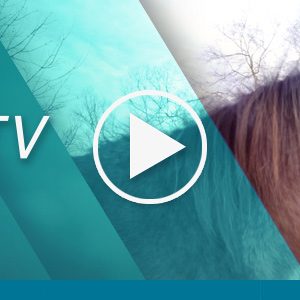 So sieht mein Gottesdienst aus