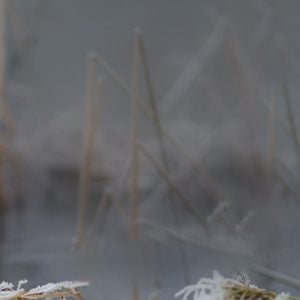Ein Teddybär sitzt auf Stroh in trister Umgebung