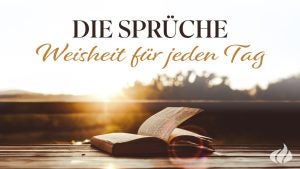 eine aufgeschlagene Bibel im Morgenrot; Bibelleseplan-Cover "Die Sprüche – Weisheit für jeden Tag"