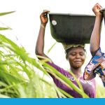 Zwei Nigerianerinnen tragen Wasser in Schalen auf dem Kopf nach Hause