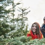 Drei Personen im Wald, die einen Baum transportieren