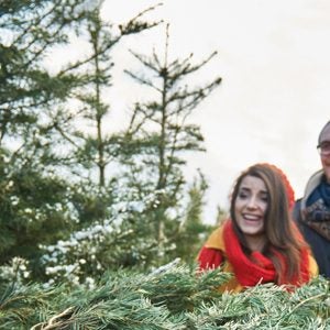 Drei Personen im Wald, die einen Baum transportieren
