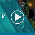 Mein Ehrgeiz zerstörte fast mein Leben