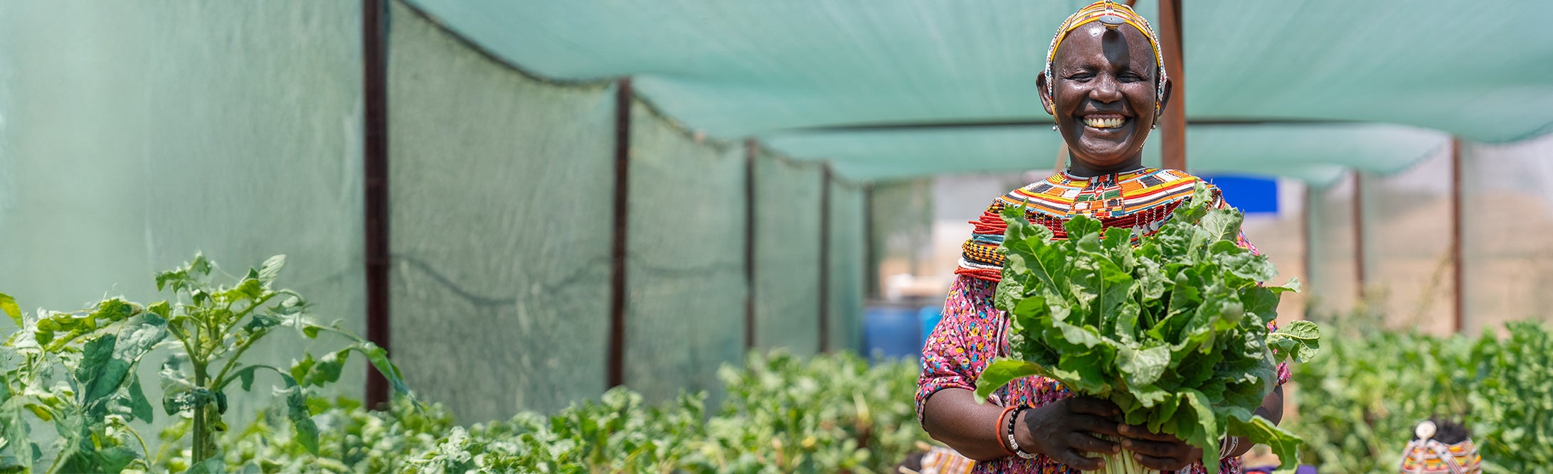 Sackgarten-Projekt in Kenia