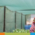 Humanitäre Projekte in Kenia